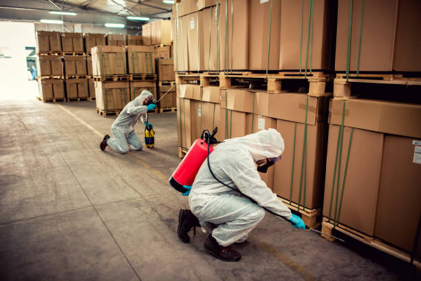Best Mosquito Control Services  in Toledo, IA
