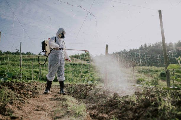 Professional Pest Control in Toledo, IA