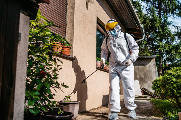 Best Pest Inspection Near Me  in Toledo, IA