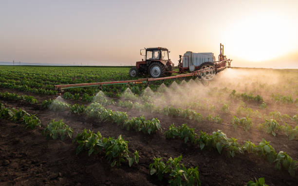 Best Pest Prevention Services  in Toledo, IA