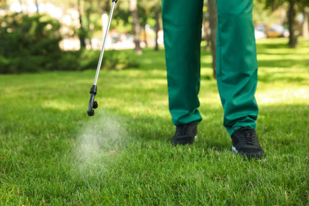 Best Affordable Pest Control Services  in Toledo, IA