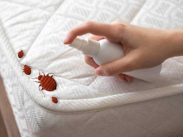 Best Residential Pest Control  in Toledo, IA