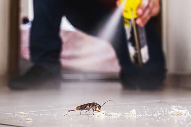 Best Pest Removal Services  in Toledo, IA