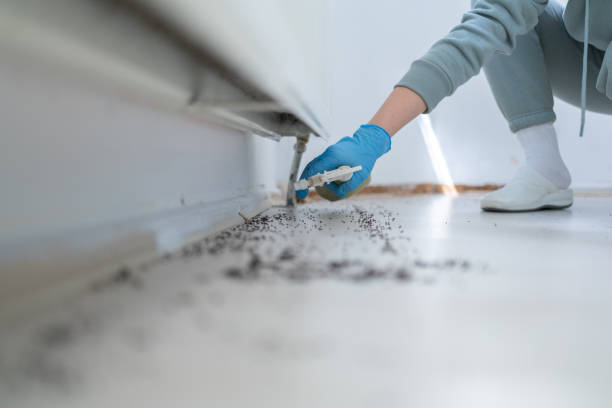 Best Pest Control for Restaurants  in Toledo, IA