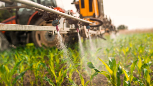 Best Commercial Pest Control Services  in Toledo, IA